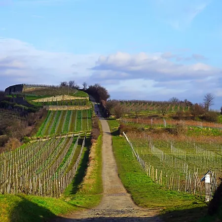 Duerkheimer Auszeit-gemuetliches Am Kurpark דירה *