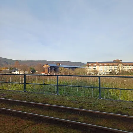 Duerkheimer Auszeit-gemuetliches Am Kurpark *