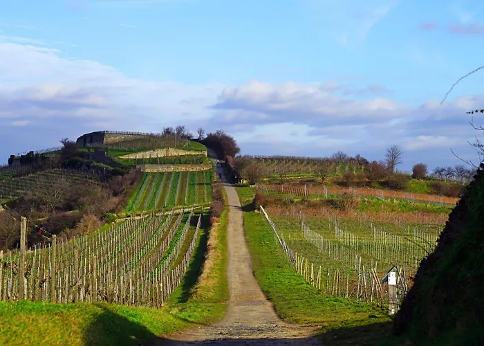 Duerkheimer Auszeit-gemuetliches Am Kurpark דירה *