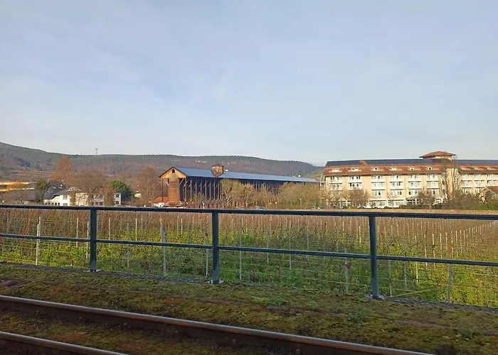 Duerkheimer Auszeit-gemuetliches Am Kurpark *